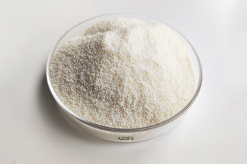 Food Grade Macroporous Strong Base Anion