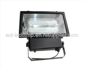 200w Lvd Induction Flood Light?