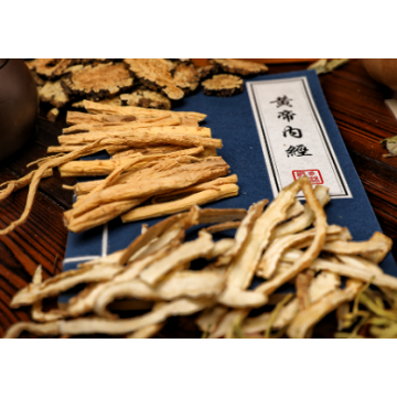 Chinese Angelica Extract (Radix Angelicae Sinensis)