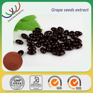 Grape seed extract free samples, High quality grape seed extract powder ,Proanthocyanidins 95% grape seed extract