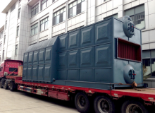 25T SZL Coal Fired Steam Boiler