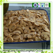canned slice fresh champignon mushroom