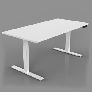 Dual Motor Height Adjustable Desk Stand Up Electric