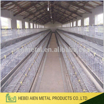 hot selling chicken cage for breeding