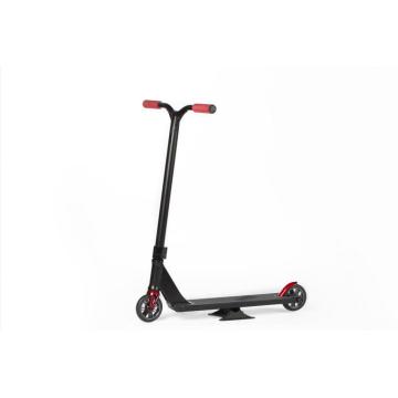 Fat Tire Street Biction Scooter avec de grandes roues