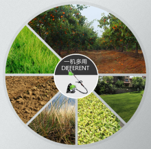 43CC Gasoline Rotary Weed Removal Machine Search