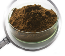 Coleus Forskohlii P.E. powder/Herbal extract