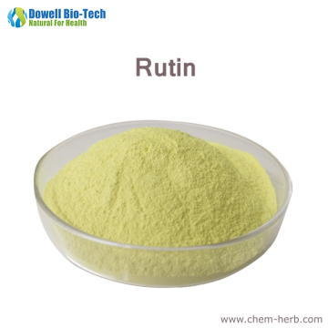 Natural Sophora Japonica Extract Powder Rutin/Rutin NF11 95%