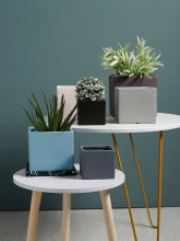 Cheap Small Succulent Ceramic Pots Bulk