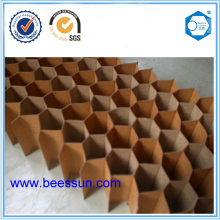 Paper Honeycomb Core Used for Processing Door