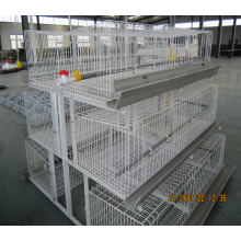 Automactic poultry farm for layer chicken cage