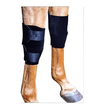 Equine Knee Boot horse knee boots