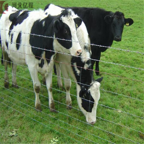 оцинкованная сетка забор для крупного рогатого скота забор для животных