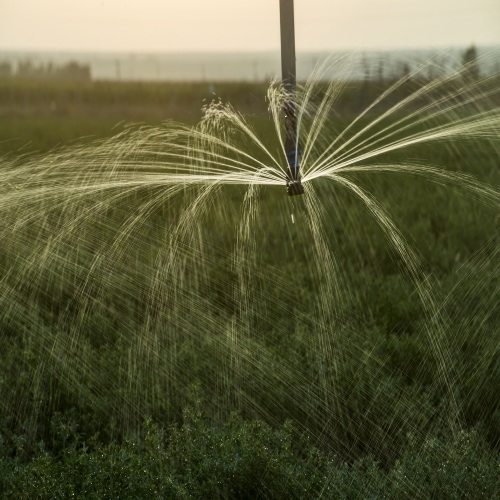 Portable sprinkler center pivot irrigation system