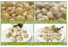 Good Taste Brined Champignon Button Mushroom in tin