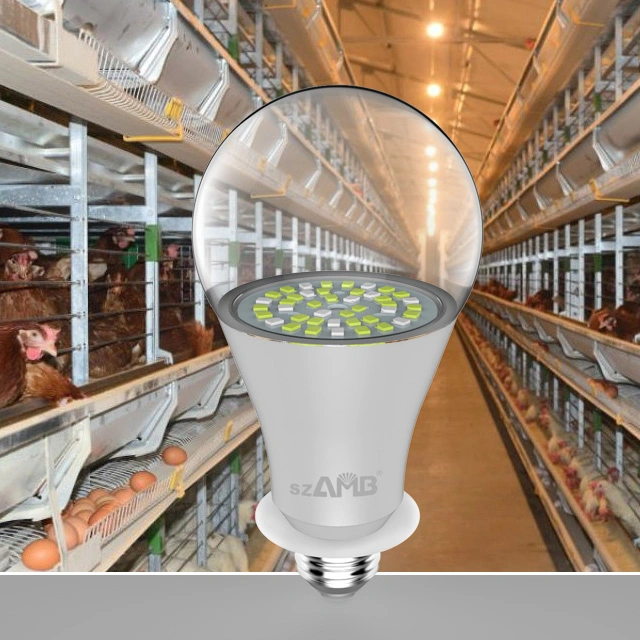 IP66 Szamb Poultry Farm Bulb with CE, ETL, UL, RoHS