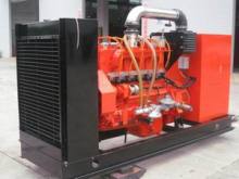 Marsh Gas Generator Electricity Application