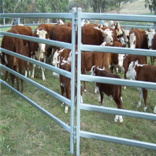 لوحات سياج شبكة أسلاك ملحومة الماشية مخصصة