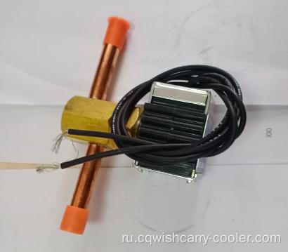 666384 Thermo King Parts Care Hot Gas клапан