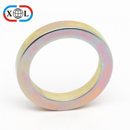 Radial Ring Magnet For Motor Product