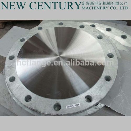 24 150# Blind Flange