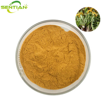 High-Quality Dandelion Extract Powder