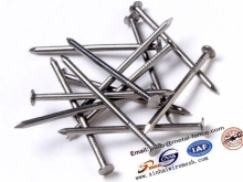 high quality common wire nail, common nail
