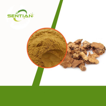 Chinese Atractylodes Lancea Root Extract