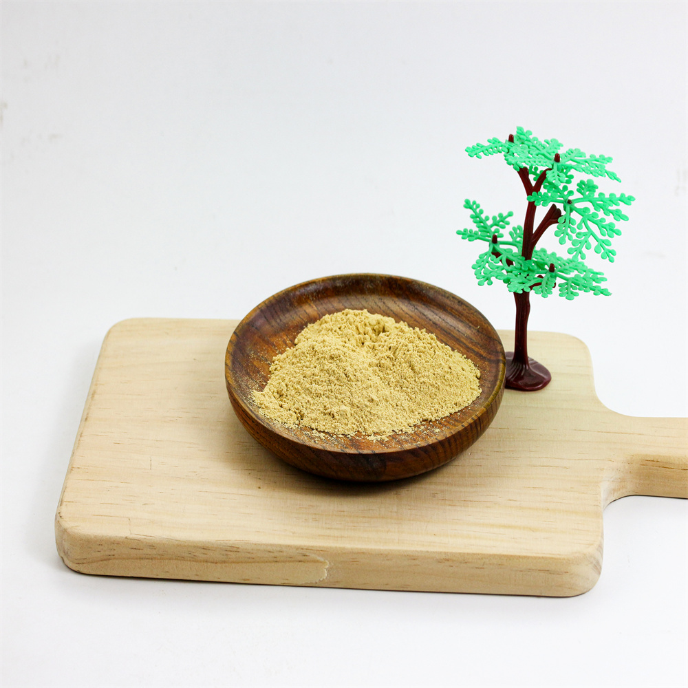 Dehydrated Vegetable Ginger Powder