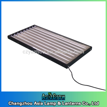 8 lamps 240v t5 hydroponics light