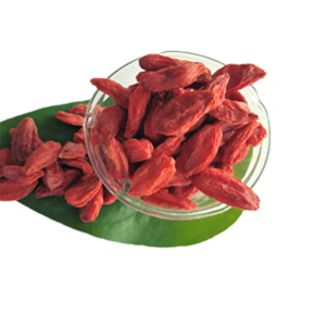 Nouvelle culture biologique baie de Goji / wolfberry