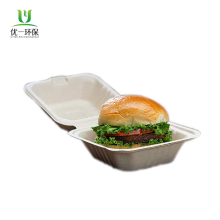 Biodegradable Sugarcane pulp Food Disposable 6'' Containers
