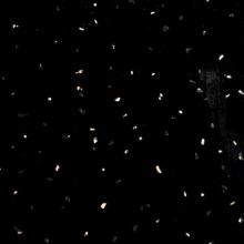 Black Sparkle PVC Cladding