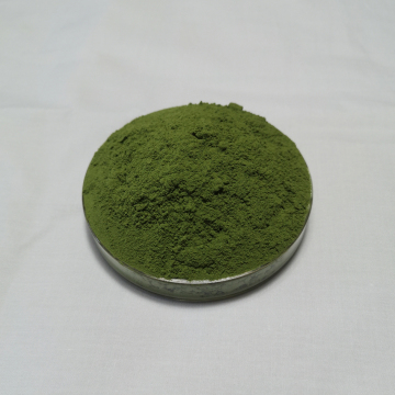 Organic Barley Leaves Powder