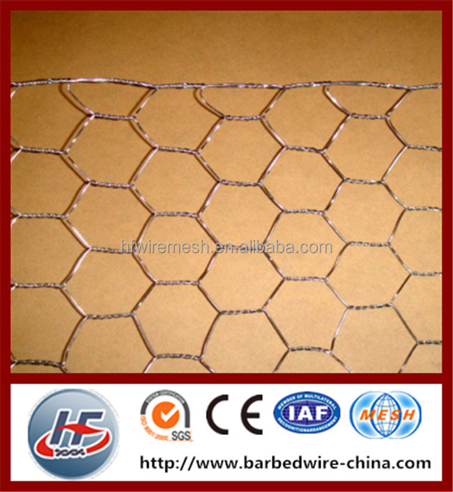 hexagon wire netting,chicken mesh,electro galvanized after weaving hexagonal wire netting