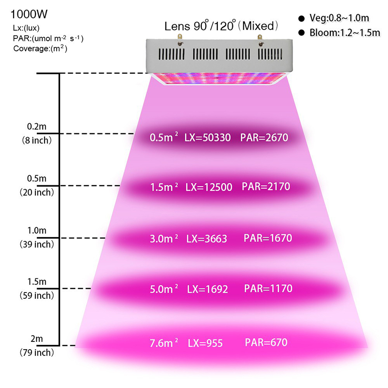 LED 1000w