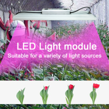 LED تنمو ضوء 120W الطيف الكامل