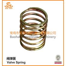 High Quality API Petrol Engine Valve Spring