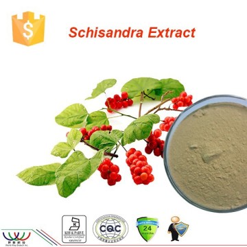 GMP factory supply Schisandra chinensis extract / 9% Schisandrins Test by HPLC