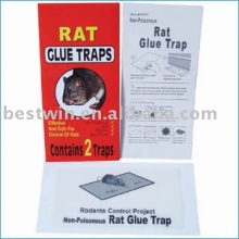 rat glue trap