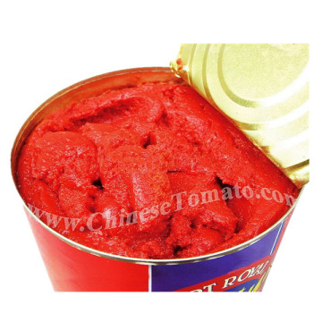 high quality 800g tomato paste