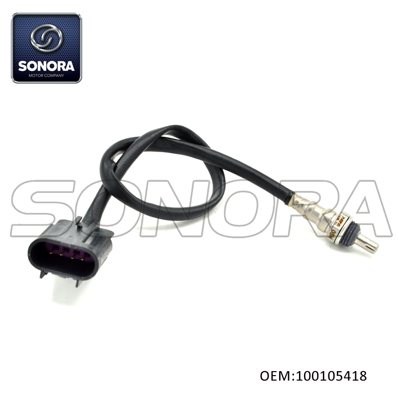 100105418 NC250 CG250D Oxygen Sensor (2)