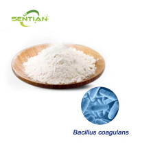 Thorne Bacillus Coagulans Probiotic Supplement