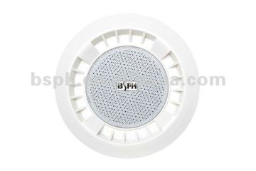 Wall Mounting Speaker / Ceiling Speaker/ Hanging Speaker Manufacturer