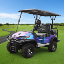 Luxury Golf Cart on Sale