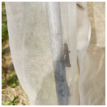 Ventilated and Breathable Locust Breeding Net