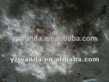 Fresh 90/10 wash grey duck down wholesale