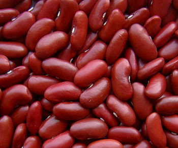 Dark red kidney beans (2011 Crop)