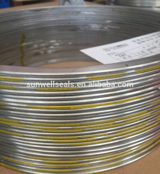 304 rings SWG Flat ring gasket spiral wound gaskets (SUNWELL)