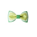 fruits impression mignonne bowbow bowtie pour la fête